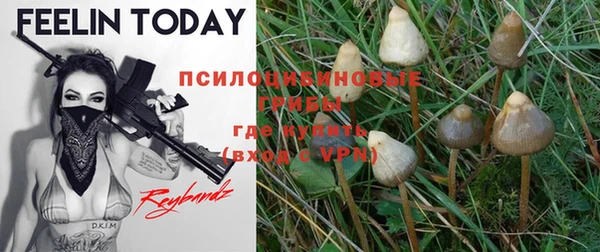 прущие крисы Снежногорск