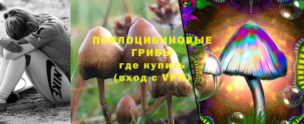 гашик Снежинск