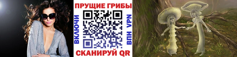 хочу наркоту  Коркино  Псилоцибиновые грибы прущие грибы 