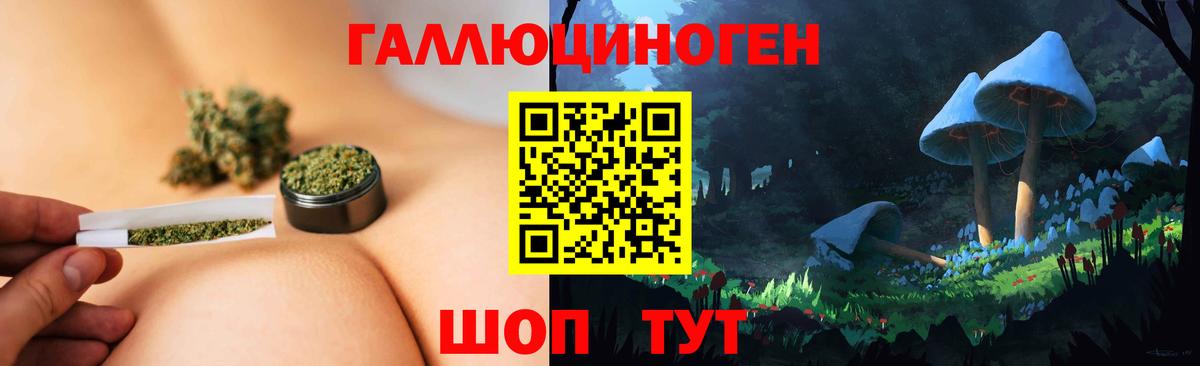 Коркино  Псилоцибиновые грибы Cubensis  Вход с VPN 